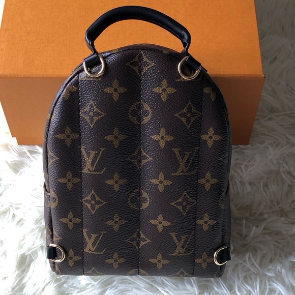 LOUIS VUITTON PALM SPRINGS MINI main image 8
